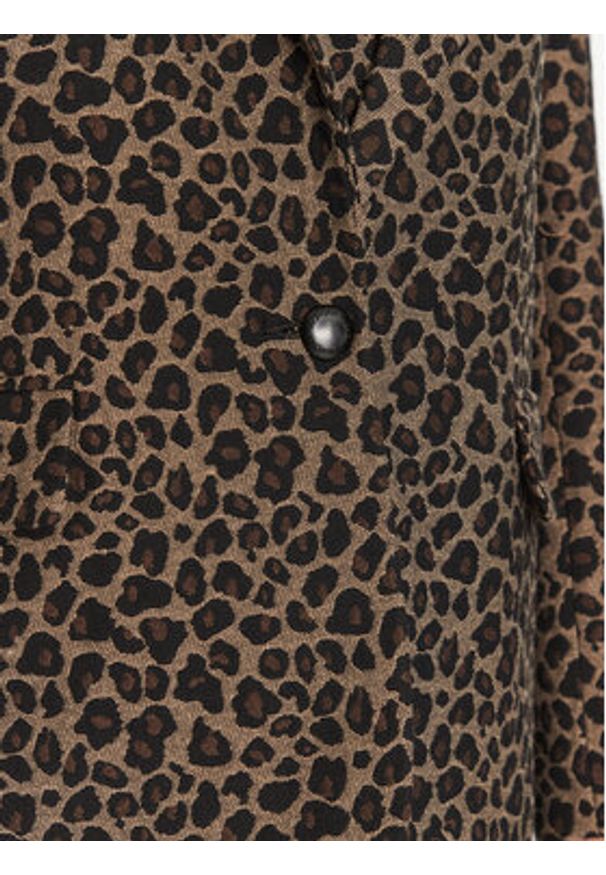 Morgan Marynarka 251-VBILI.F Brązowy Regular Fit. Kolor: brązowy. Materiał: bawełna