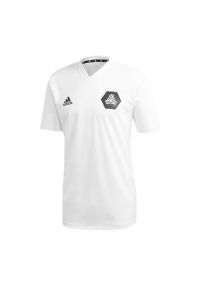 Adidas - Tango TR Jersey T-shirt 310. Kolor: biały. Materiał: jersey #1