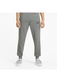 Spodnie Puma Essentials Logo, Mężczyźni. Kolor: szary. Materiał: bawełna, materiał
