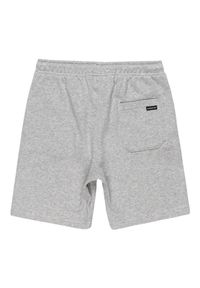 Quiksilver - Spodenki z elastyczną talią EASY DAY. Kolor: szary. Materiał: materiał, poliester, bawełna. Długość: krótkie. Sezon: lato