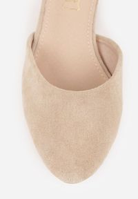 Renee - Ciemnobeżowe Czółenka Vices na Słupku z Wkładką ze Skóry Naturalnej i Metaliczną Ozdobą Velori. Okazja: do pracy, na spotkanie biznesowe. Zapięcie: sprzączka. Kolor: beżowy. Materiał: skóra. Wzór: aplikacja. Obcas: na słupku. Styl: wizytowy, biznesowy. Wysokość obcasa: średni #8