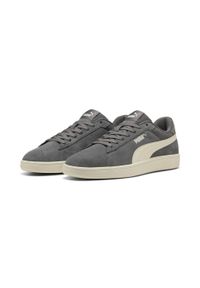 Puma - Sneakersy Smash 3.0 PUMA Cool Dark Gray Warm White. Kolor: biały, wielokolorowy, szary. Materiał: zamsz, materiał. Sport: tenis
