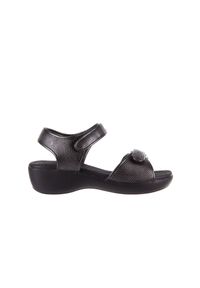 Sandały Azaleia 346 601 Perf Black, Czarny, Materiał. Okazja: na spacer. Zapięcie: rzepy. Kolor: czarny. Materiał: skóra. Wzór: paski. Sezon: lato. Obcas: na obcasie. Wysokość obcasa: średni #1