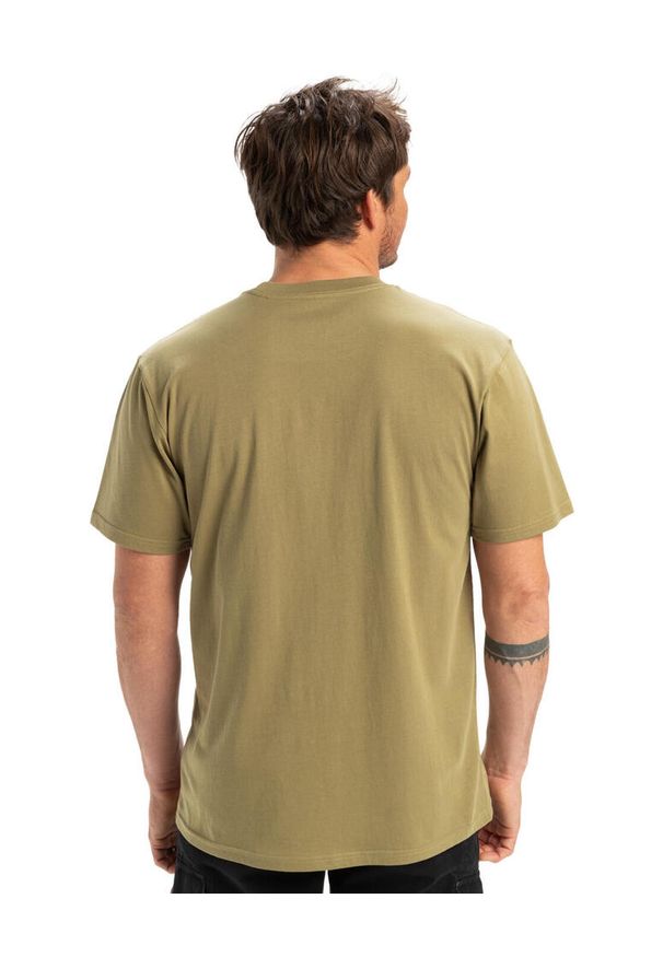 Quiksilver - Koszulka z krótkim rękawem dla Mężczyzn EV SHAPE ALL DAY. Kolor: beżowy. Materiał: materiał, bawełna. Długość rękawa: krótki rękaw. Długość: krótkie. Wzór: nadruk