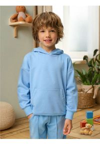 Sinsay - Bluza hoodie basic - niebieski. Kolor: niebieski
