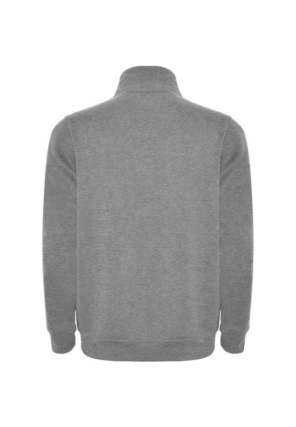 ROLY - Męska Bluza Rozpinana Aneto Quarter Zip. Kolor: szary