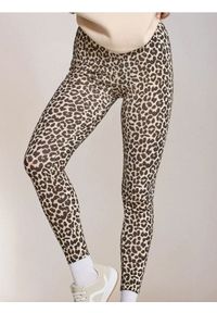 Sinsay - Legginsy w panterkę - wielobarwny. Wzór: motyw zwierzęcy