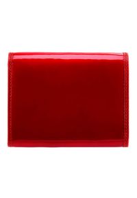 Wittchen - Damski portfel ze skóry lakierowany średni czerwony. Kolor: czerwony. Materiał: lakier, skóra. Wzór: aplikacja #4