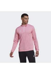Bluza piłkarska męska Adidas Entrada 22 Training Top. Kolor: różowy. Sport: piłka nożna