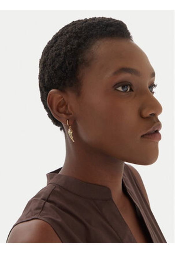 Aldo Kolczyki Angels 13994869 Złoty. Materiał: metalowe. Kolor: złoty