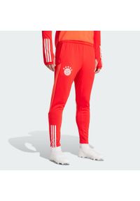Adidas - Spodnie FC Bayern Tiro 23 Training. Kolor: czerwony, biały, wielokolorowy. Materiał: materiał, dresówka. Sport: piłka nożna