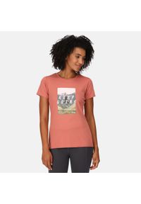 Regatta - Fingal VII damska turystyczna koszulka z krótkim rękawem. Kolor: wielokolorowy, czerwony, pomarańczowy, żółty. Materiał: tkanina. Długość rękawa: krótki rękaw. Długość: krótkie. Sport: turystyka piesza