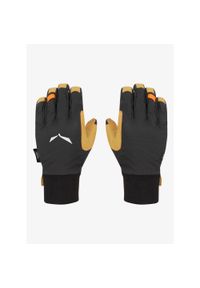 Rękawiczki softshell Salewa Ortles DST/AM Gloves. Kolor: czarny. Materiał: softshell. Sport: turystyka piesza #1