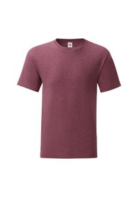 FRUIT OF THE LOOM - Męska Koszulka Iconic 150. Kolor: czerwony, wielokolorowy, brązowy