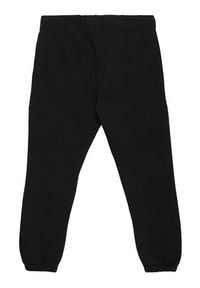 Sprandi Spodnie dresowe SS21-SPD004 Czarny Regular Fit. Kolor: czarny. Materiał: bawełna, dresówka #8