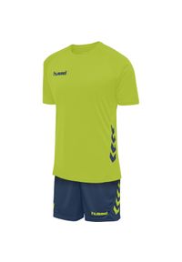 Ustaw Hummel hmlPROMO. Kolor: zielony, niebieski, żółty, wielokolorowy. Długość rękawa: krótki rękaw. Długość: krótkie. Sport: fitness