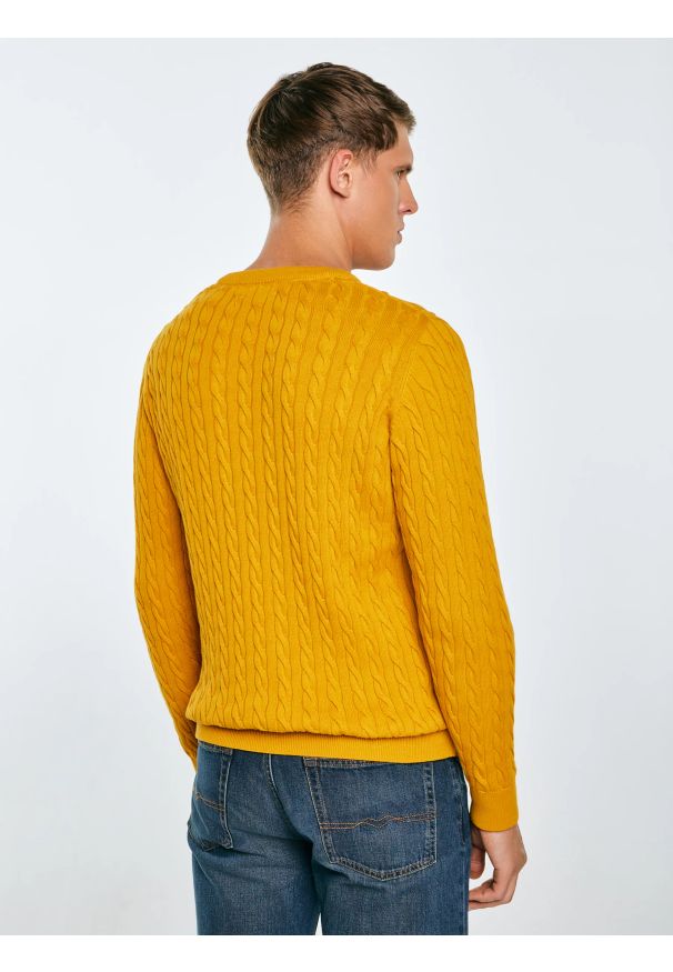 Big-Star - Sweter męski ze splotem warkoczowym żołty Amaris 201. Okazja: na co dzień. Kolor: żółty. Materiał: jeans, dzianina. Wzór: ze splotem. Styl: casual, klasyczny