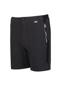 Regatta - Spodenki Mountain Shorts II. Kolor: szary. Materiał: poliamid, elastan. Sport: turystyka piesza #1