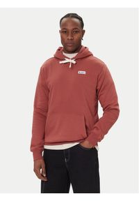 Cotopaxi Bluza Llama Patch Pullover Hoodie F24474M1161 Miedziany Regular Fit. Kolor: brązowy. Materiał: syntetyk