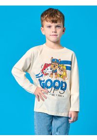 Sinsay - Koszulka z długimi rękawami PAW Patrol - kremowy. Kolor: kremowy. Materiał: bawełna. Długość rękawa: długi rękaw. Długość: długie. Wzór: motyw z bajki