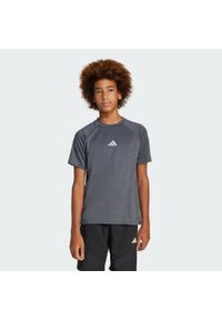 Adidas - Koszulka All Sports Favorite Kids. Kolor: czarny, szary, wielokolorowy. Materiał: materiał. Technologia: ClimaCool (Adidas). Sport: joga i pilates