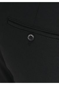 Pako Lorente - PAKO LORENTE - Czarne spodnie męskie. Kolor: czarny. Materiał: poliester, wiskoza, elastan. Wzór: gładki. Sezon: zima, jesień. Styl: klasyczny #2