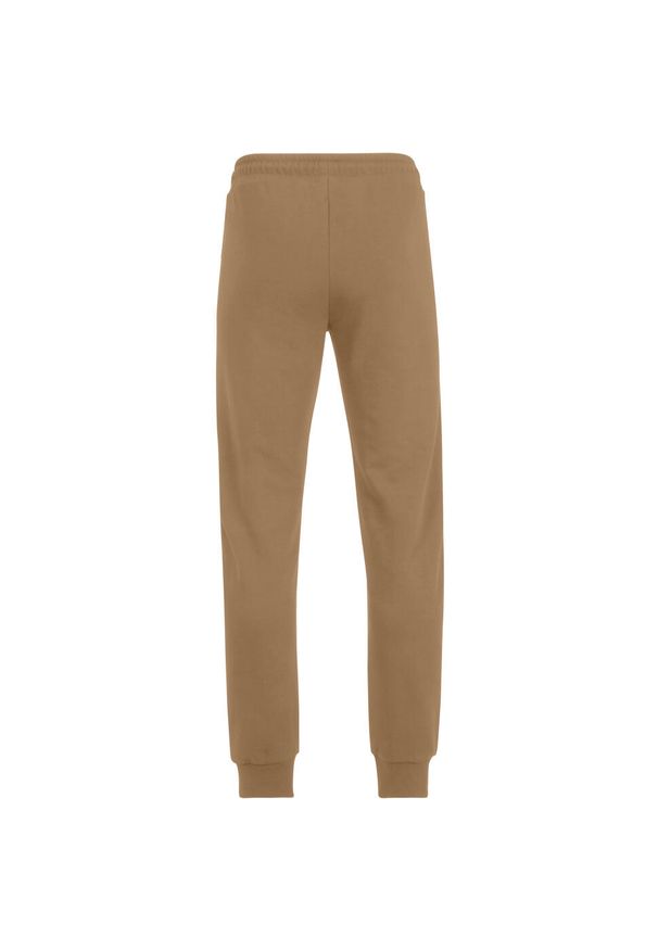 Jogging Fila Braives. Kolor: brązowy. Sport: bieganie