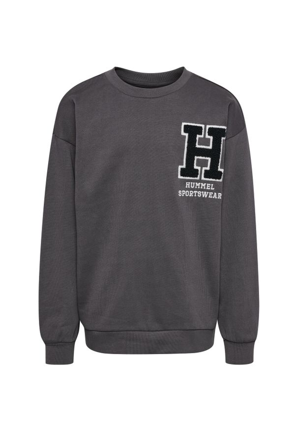 Bluza dziecięca z okrągłym dekoltem Hummel Allton. Kolor: szary. Wzór: aplikacja