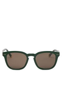 Polo Ralph Lauren Okulary przeciwsłoneczne 0PH4242U 614073 Zielony. Kolor: zielony #4