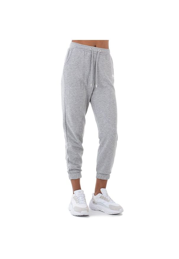 Spodnie Alpha Industries Basic Jogger SL 116051230 - szare. Kolor: szary. Materiał: dresówka, bawełna, materiał, poliester. Wzór: aplikacja