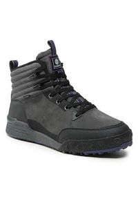 Element Sneakersy Donnelly Elite F6DOE1 Szary. Kolor: szary. Materiał: zamsz, skóra