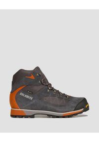 Buty trekkingowe męskie Dolomite Zernez GTX. Kolor: szary