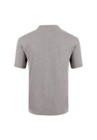 Koszulka męska Salewa Lines Graphic 28065. Materiał: jersey, bawełna, materiał, syntetyk, włókno, poliester. Długość: długie