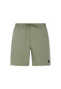 Szorty kąpielowe Protest Prtbaky. Kolor: zielony #1