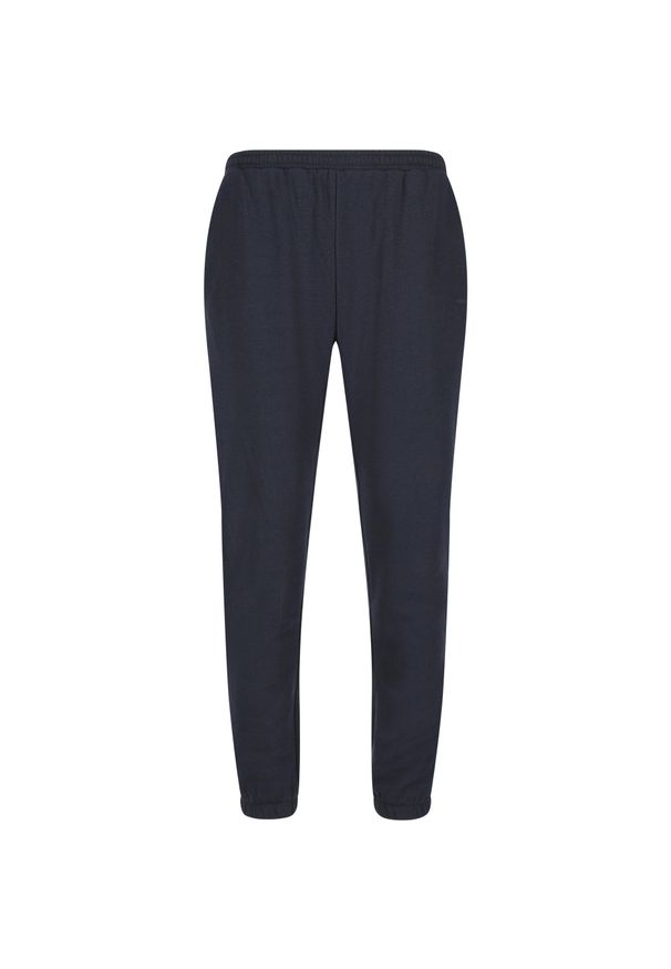 ENDURANCE - Spodnie Endurance Arlanc. Kolor: niebieski. Sport: fitness