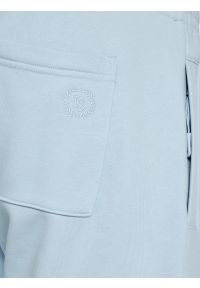 Big-Star - Szorty męskie dresowe jasnoniebieskie Luiss 400. Kolor: niebieski. Materiał: dresówka. Wzór: aplikacja, haft, ze splotem. Sezon: lato. Styl: wakacyjny, elegancki #4