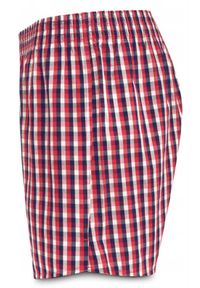 Luźne Męskie Bokserki, Bawełniane - Pako Jeans - Czerwień, Kratka. Kolor: czerwony. Materiał: bawełna. Wzór: kratka #2