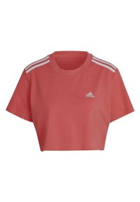 Koszulka damska Adidas Cropped różowa krótka bawełniana. Kolor: pomarańczowy. Materiał: bawełna. Długość: krótkie