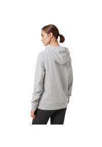 Bluza z kapturem damska Helly Hansen Nord Graphic Pullover Hoodie. Typ kołnierza: kaptur. Kolor: szary