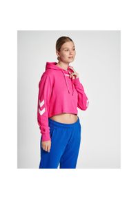 Damska bluza z kapturem crop Hummel Legacy. Typ kołnierza: kaptur. Kolor: fioletowy, różowy, wielokolorowy. Materiał: bawełna, materiał. Wzór: nadruk. Sport: fitness, piłka ręczna