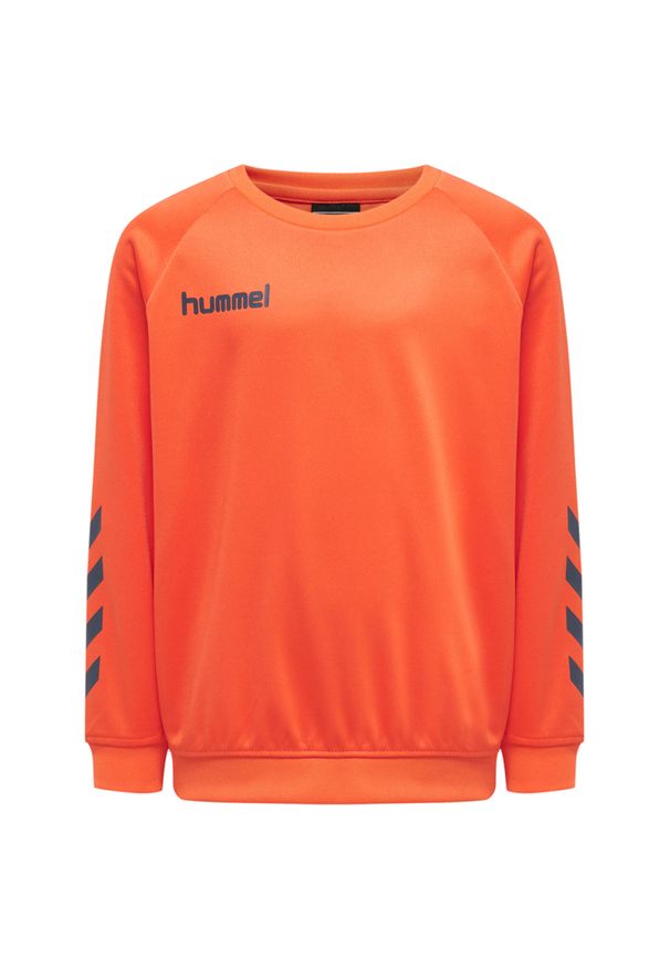Bluza do piłki ręcznej dla dzieci Hummel Promo. Kolor: pomarańczowy. Sport: piłka ręczna
