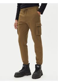 Aeronautica Militare Spodnie dresowe 252PF1010UF00662 Zielony Regular Fit. Kolor: zielony. Materiał: bawełna