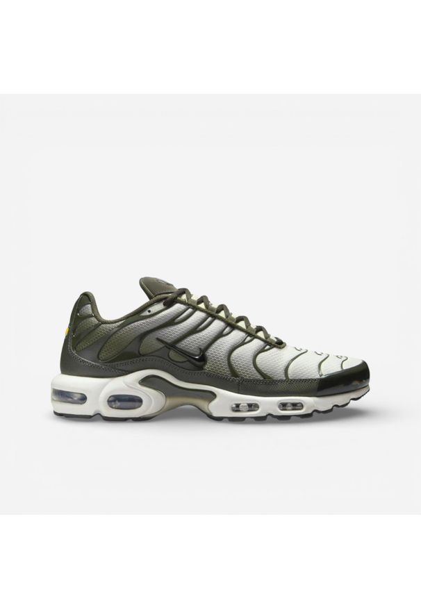 Nike Air Max Plus Sequoia Cargo Khaki. Kolor: zielony. Model: Nike Air Max. Sport: turystyka piesza