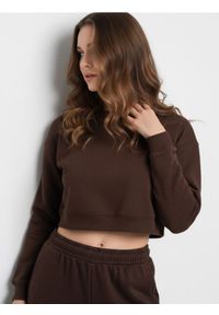 Sinsay - Bluza crewneck regular - brązowy. Kolor: brązowy #1