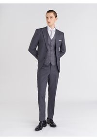 Pako Lorente - PAKO LORENTE – Szare eleganckie spodnie męskie. Kolor: szary. Styl: elegancki #5