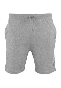 ZFOAM - Glemo Einar Męskie Szorty Sportowe – 100% Bawełna. Kolor: szary. Materiał: bawełna. Sport: fitness #1