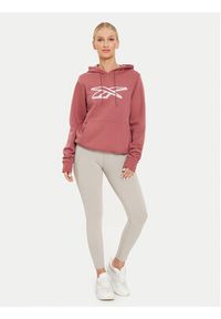 Reebok Bluza Graphic OTH Hoodia 100202148 Brązowy Regular Fit. Kolor: brązowy. Materiał: bawełna, syntetyk #3