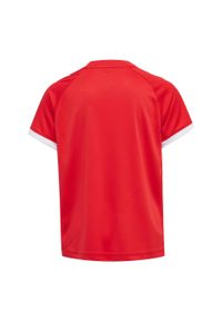 Koszulka dziecięca Hummel hmlhmlCORE volley. Kolor: czerwony, różowy, wielokolorowy. Długość rękawa: raglanowy rękaw. Sezon: lato. Sport: fitness, piłka nożna
