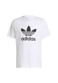 Adidas - Koszulka adidas Originals Adicolor Classics Trefoil Tee H06644 - biała. Kolor: biały. Materiał: bawełna. Długość rękawa: krótki rękaw. Długość: krótkie. Wzór: aplikacja #1