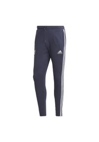 Adidas - FC Bayern DNA Pants. Kolor: niebieski. Materiał: dresówka